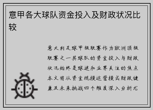 意甲各大球队资金投入及财政状况比较